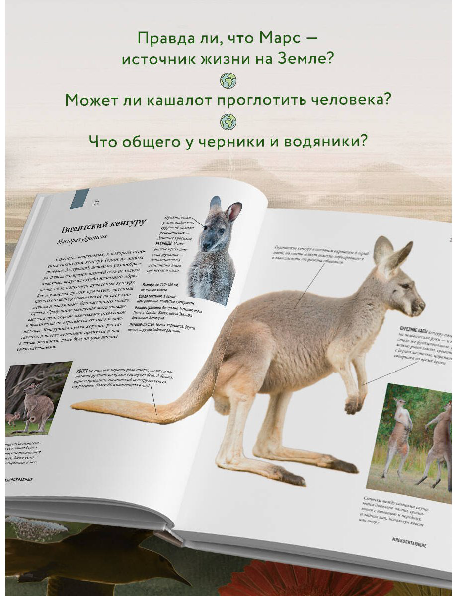 Книга Михайлова Р.: Атлас Земли. Животные, растения, грибы, бактерии, минералы и другие сокровища нашей планеты купить,NaN