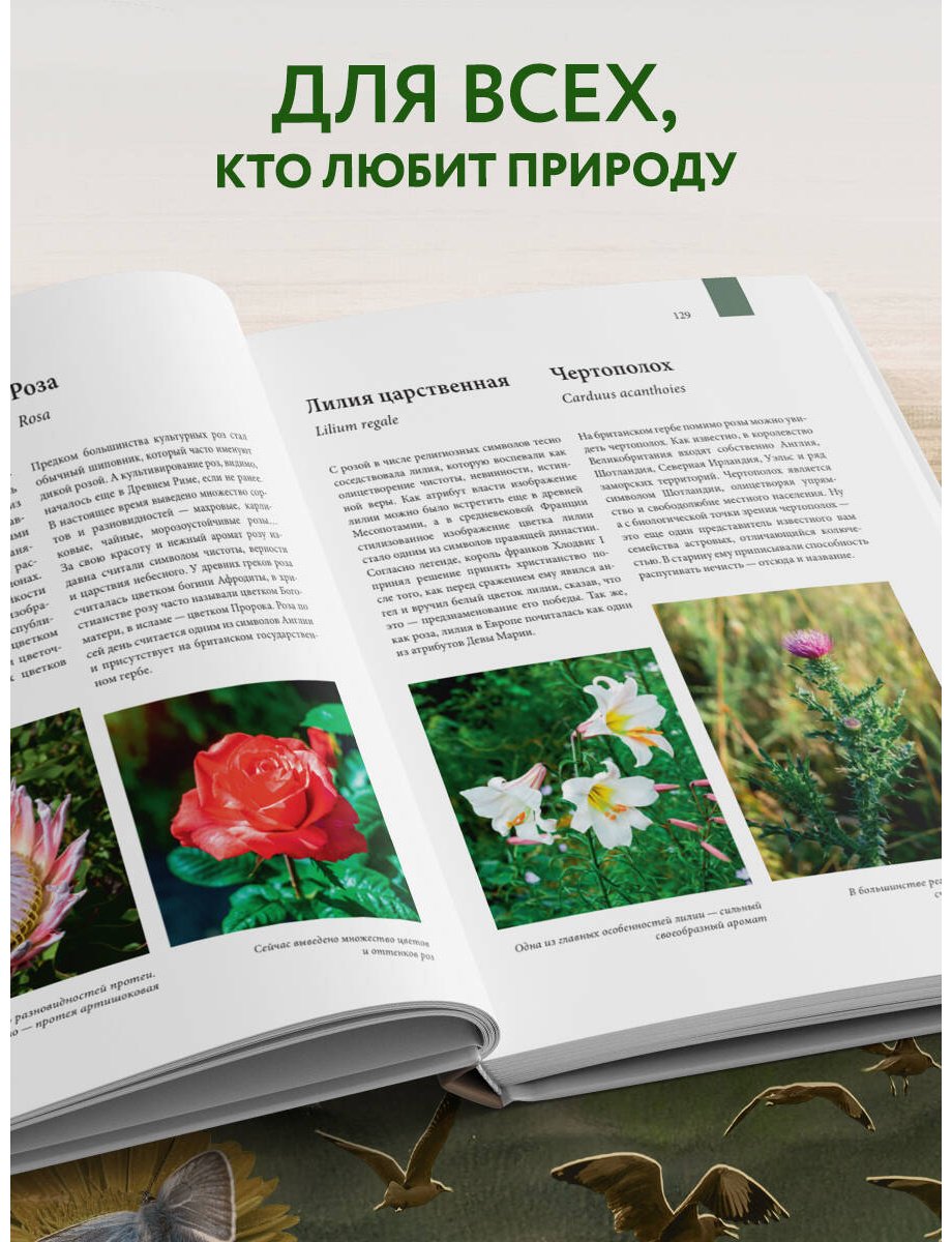 Книга Михайлова Р.: Атлас Земли. Животные, растения, грибы, бактерии, минералы и другие сокровища нашей планеты купить,NaN