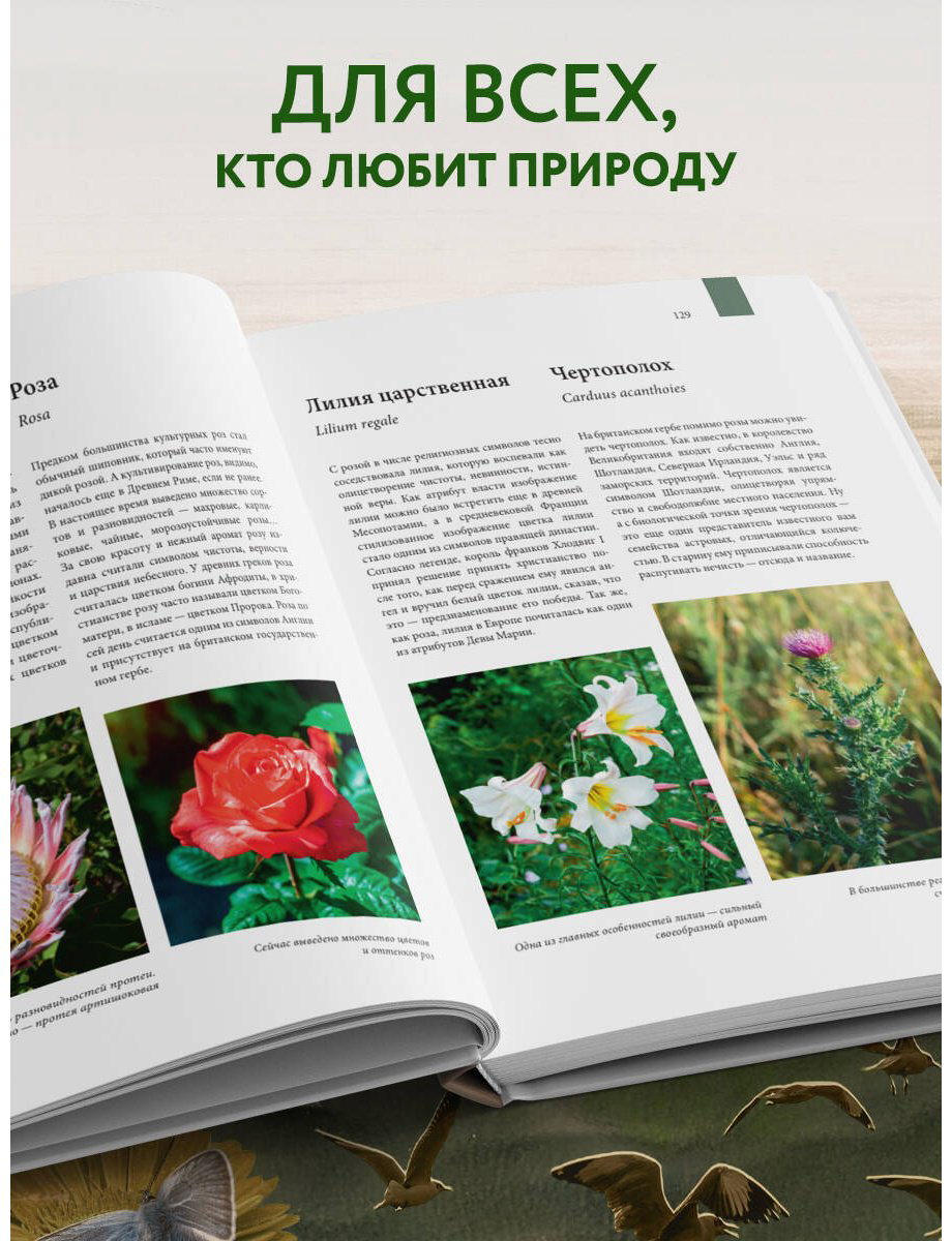 Книга Михайлова Р.: Атлас Земли. Животные, растения, грибы, бактерии, минералы и другие сокровища нашей планеты купить,NaN