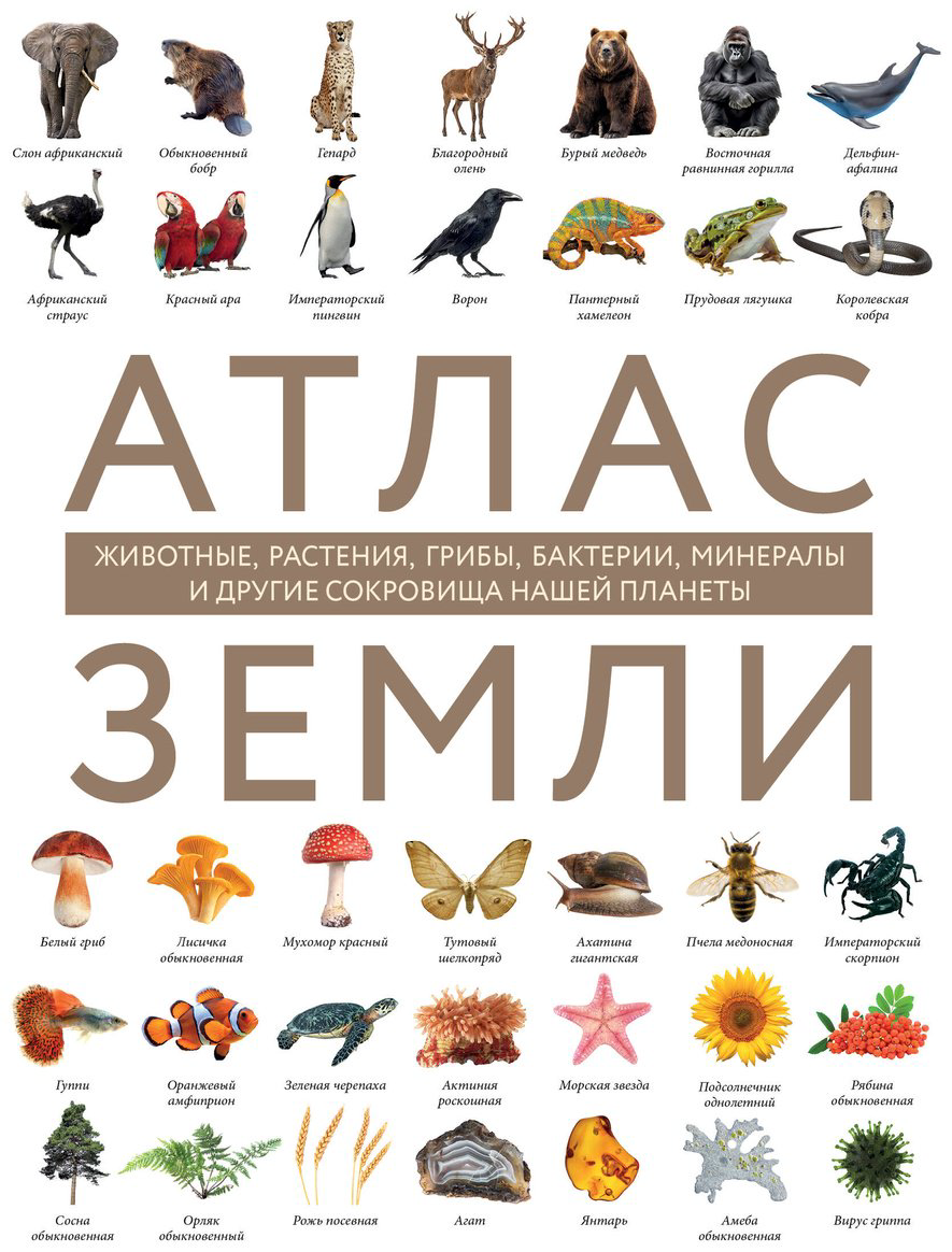 Книга Михайлова Р.: Атлас Земли. Животные, растения, грибы, бактерии, минералы и другие сокровища нашей планеты купить,NaN