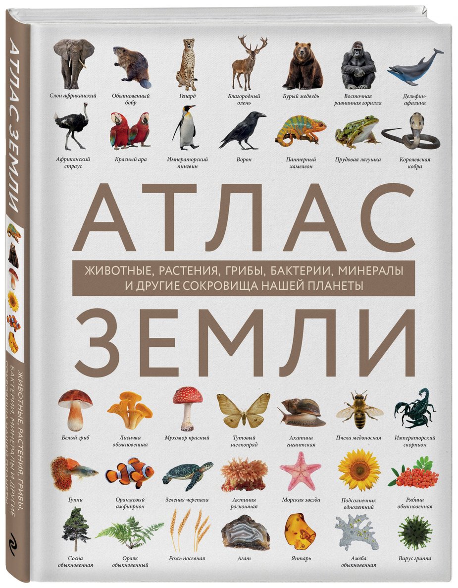 Книга Михайлова Р.: Атлас Земли. Животные, растения, грибы, бактерии, минералы и другие сокровища нашей планеты купить,NaN