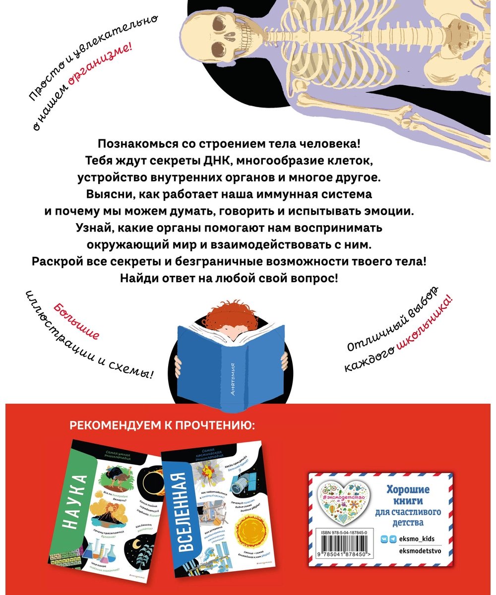 Книга Романо А.: Тело человека. Самая анатомическая энциклопедия купить,NaN
