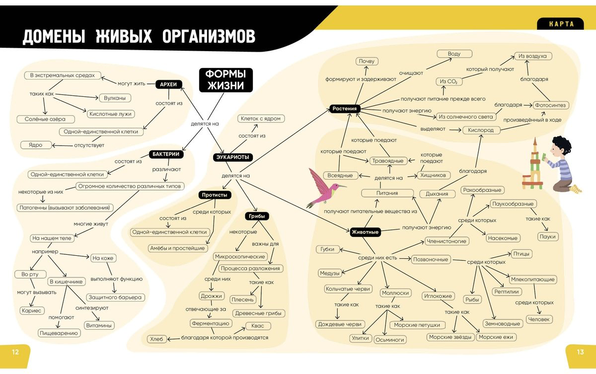 Книга Романо А.: Тело человека. Самая анатомическая энциклопедия купить,NaN