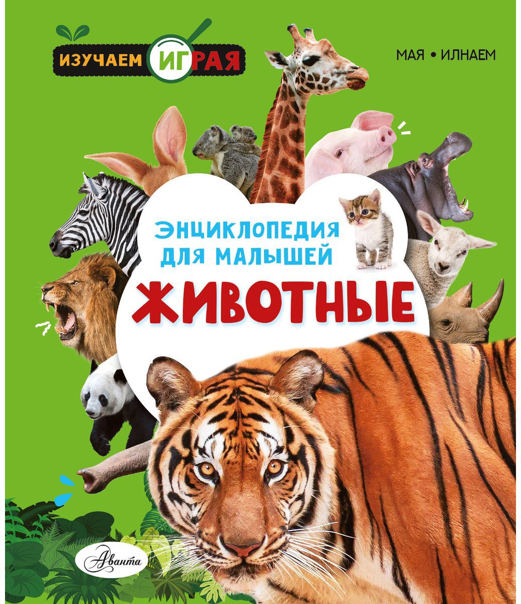 Книга Без автора: Животные купить,NaN