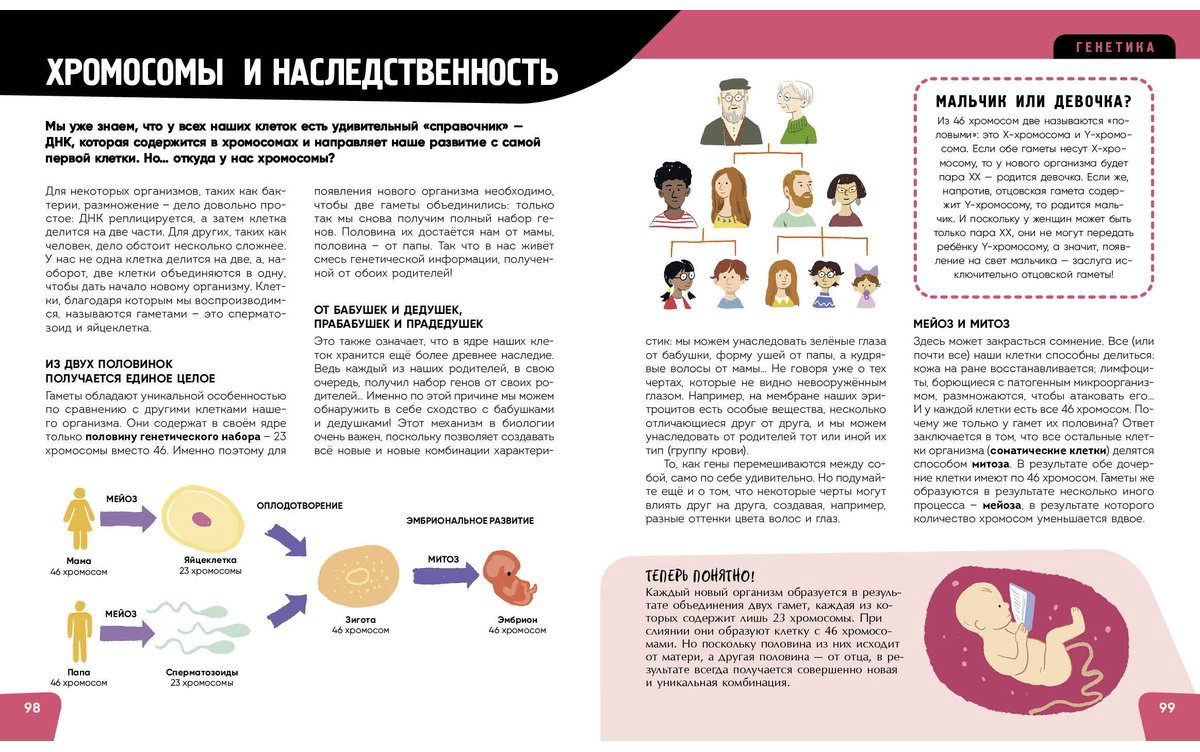 Книга Романо А.: Тело человека. Самая анатомическая энциклопедия купить,NaN