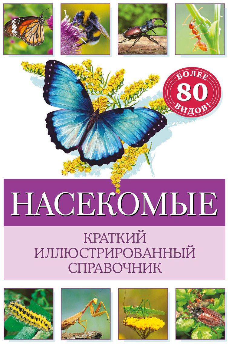 Книга Офтринг Б.: Насекомые. Краткий иллюстрированный справочник купить,NaN