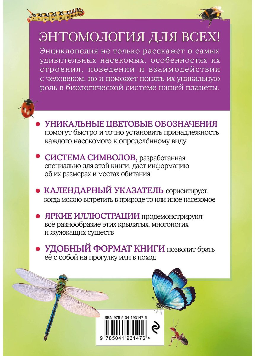 Книга Офтринг Б.: Насекомые. Краткий иллюстрированный справочник купить,NaN