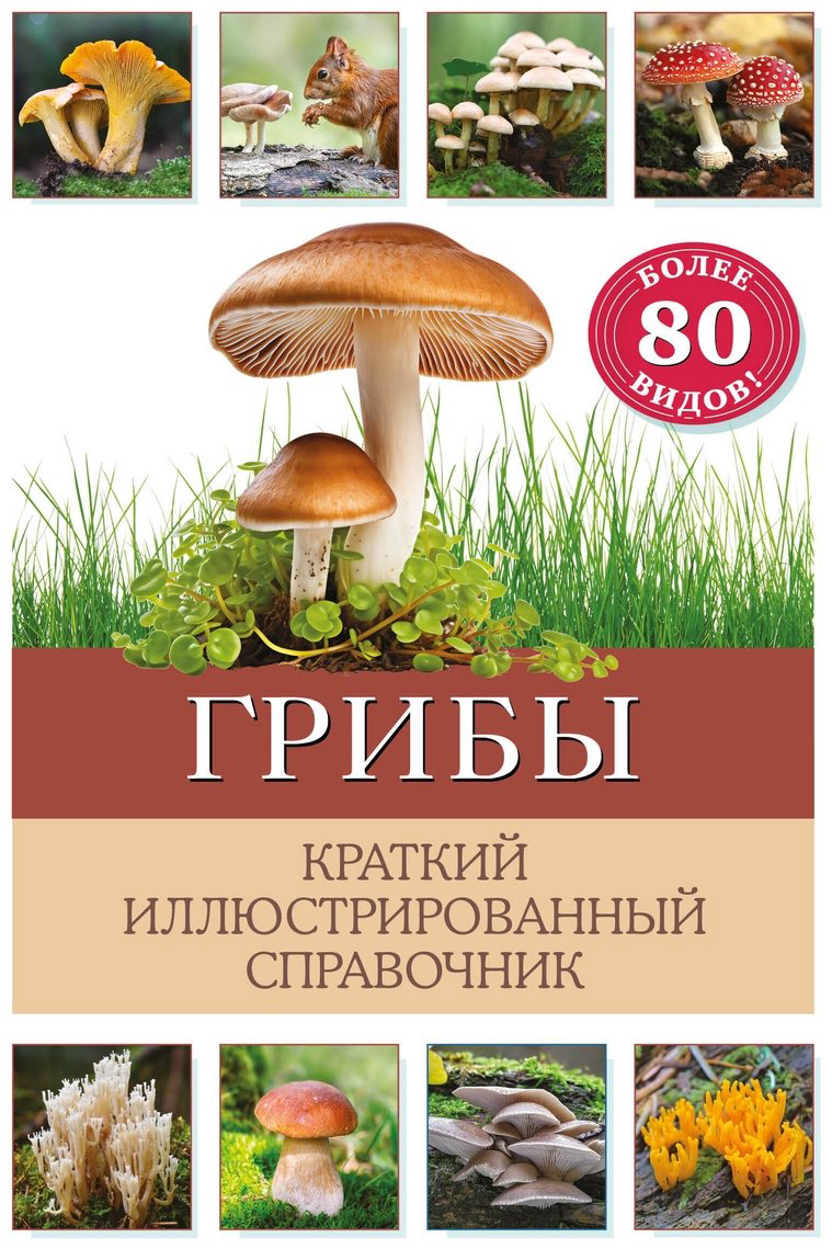 Книга Офтринг Б.: Грибы. Краткий иллюстрированный справочник купить,NaN