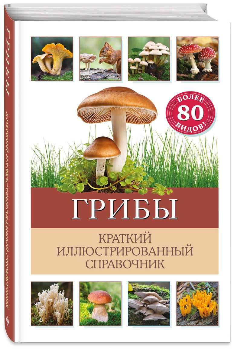 Книга Офтринг Б.: Грибы. Краткий иллюстрированный справочник купить,NaN