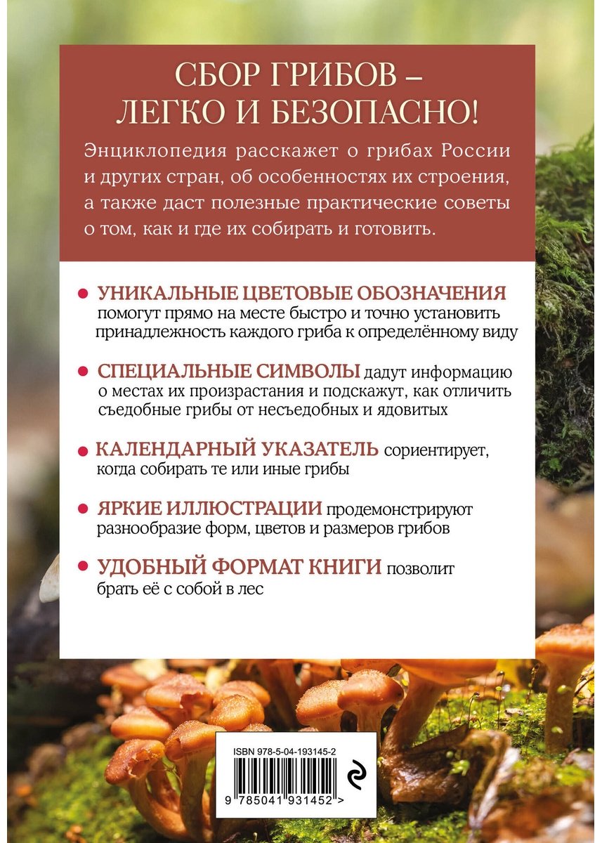 Книга Офтринг Б.: Грибы. Краткий иллюстрированный справочник купить,NaN