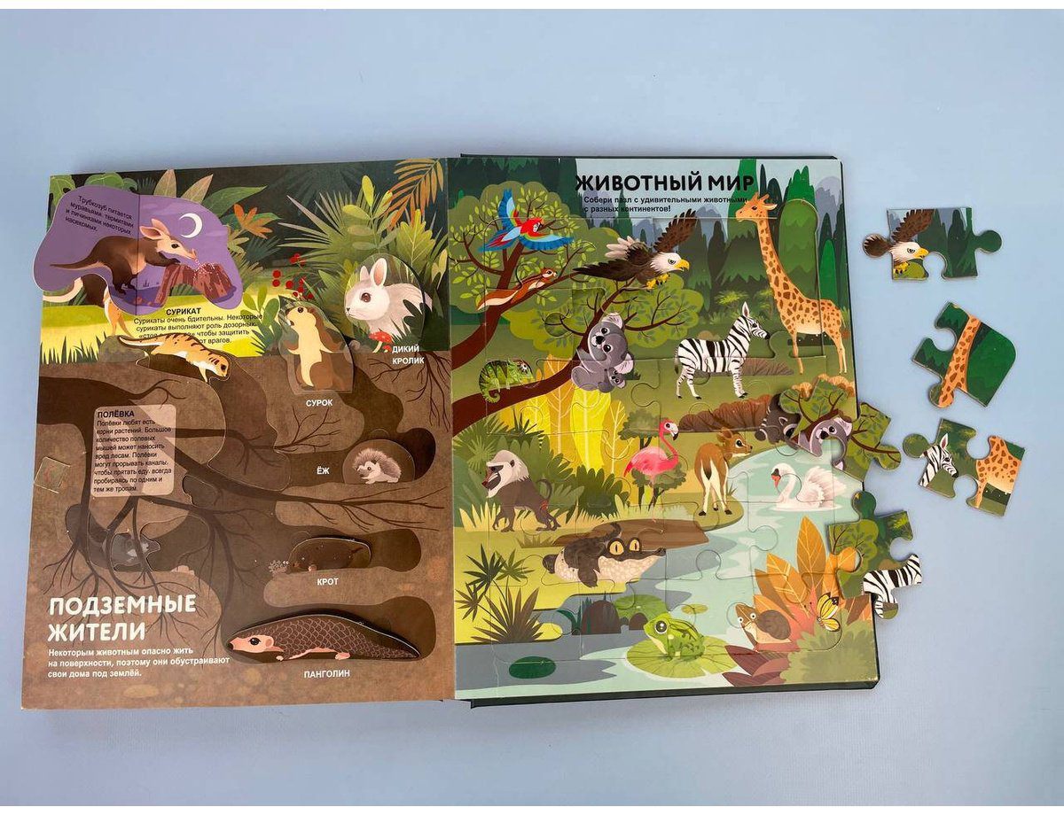 Книга Без автора: Удивительные животные купить,NaN
