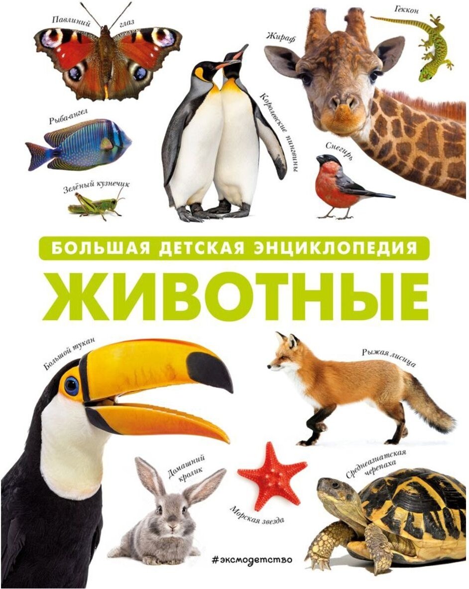 Книга Животные. Большая детская энциклопедия купить,NaN
