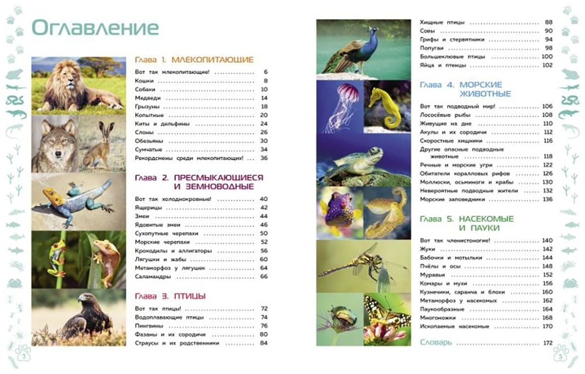 Книга Животные. Большая детская энциклопедия купить,NaN
