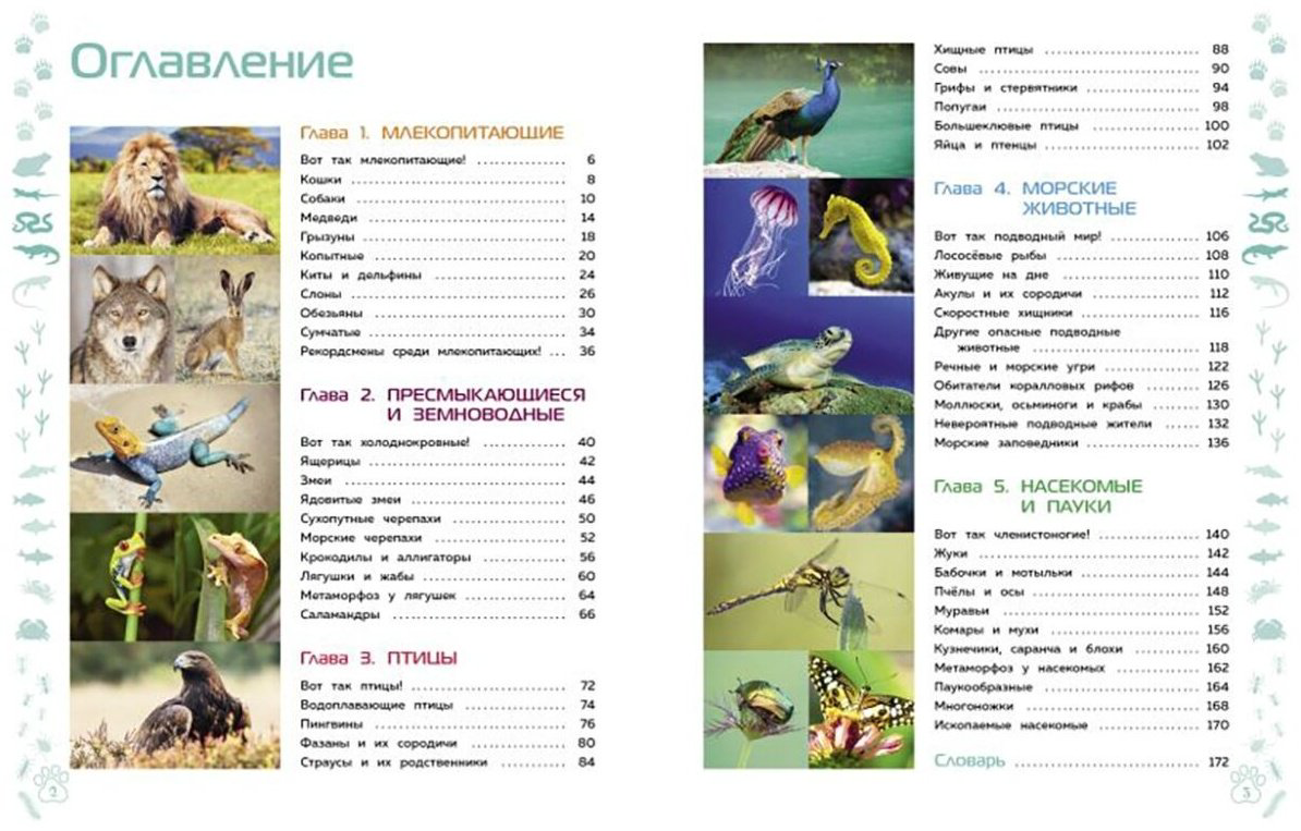 Книга Животные. Большая детская энциклопедия купить,NaN