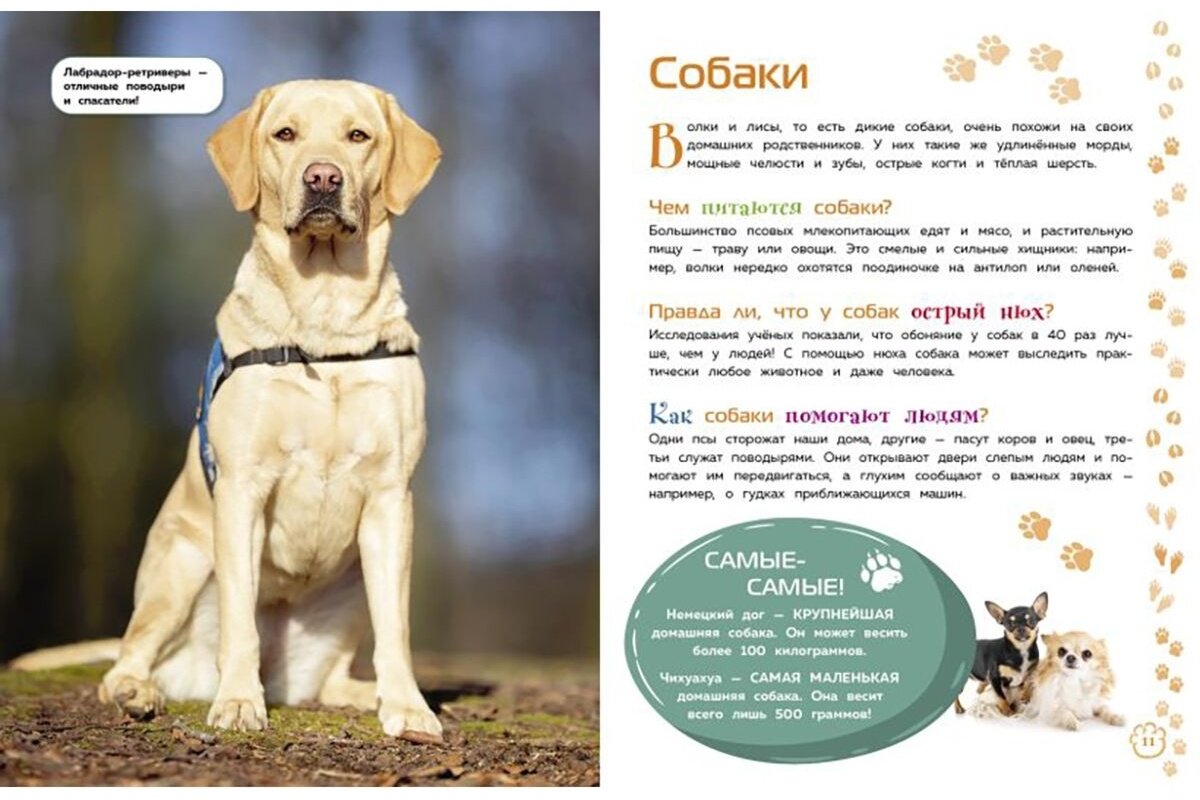 Книга Животные. Большая детская энциклопедия купить,NaN