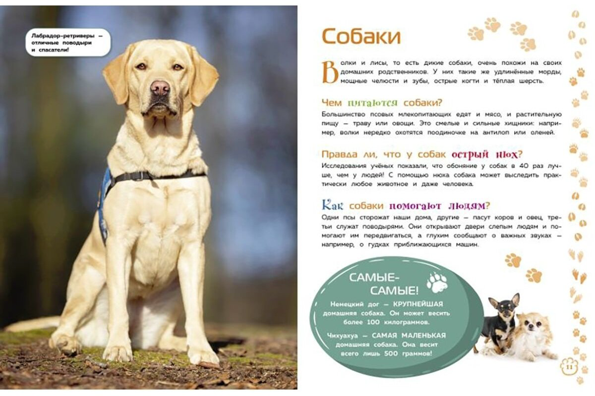 Книга Животные. Большая детская энциклопедия купить,NaN