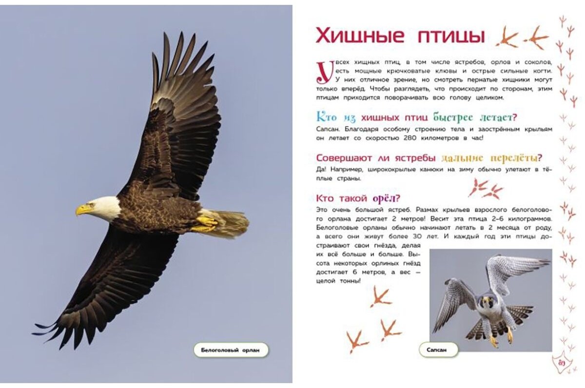 Книга Животные. Большая детская энциклопедия купить,NaN