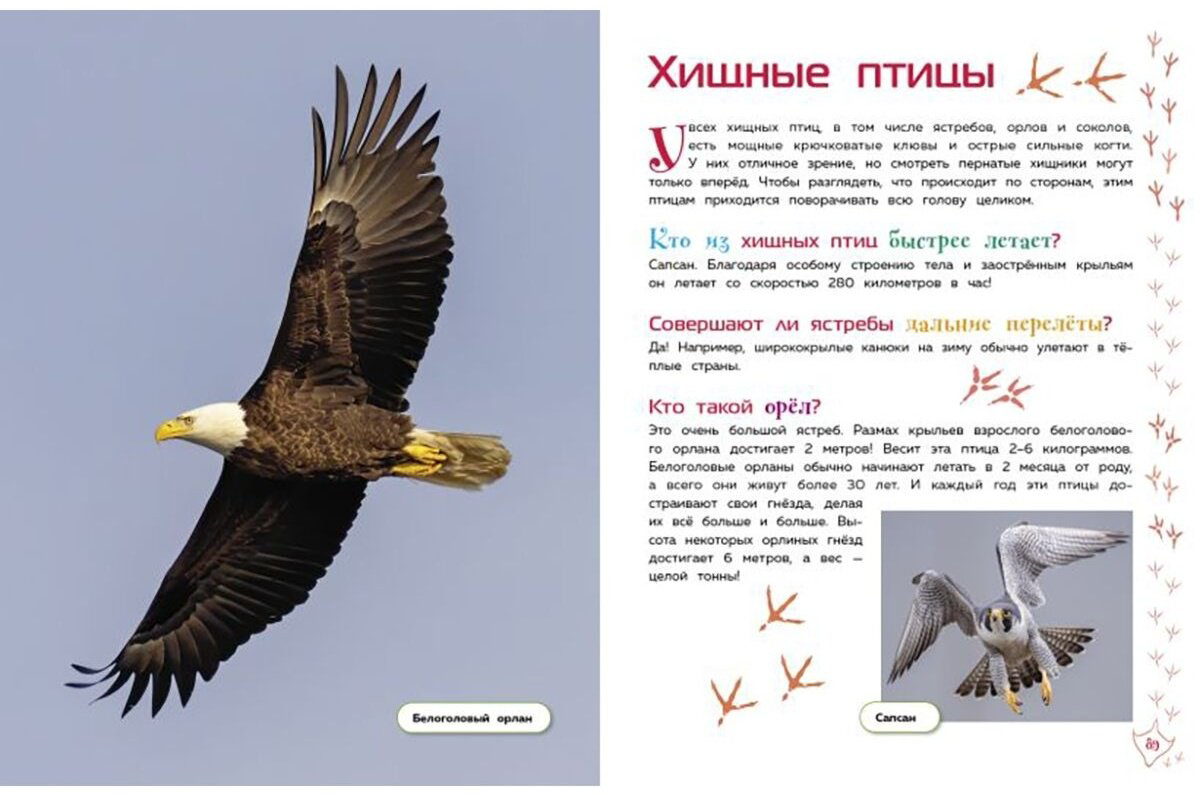 Книга Животные. Большая детская энциклопедия купить,NaN