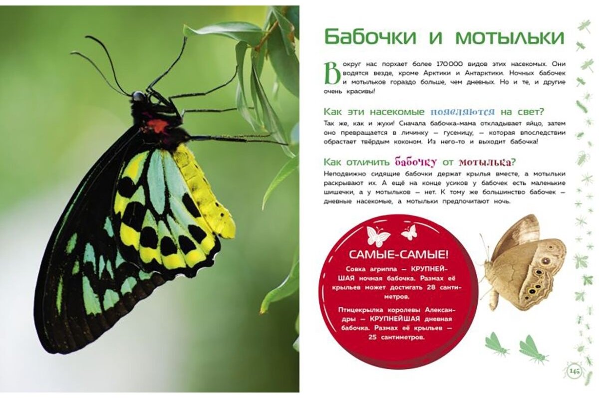 Книга Животные. Большая детская энциклопедия купить,NaN