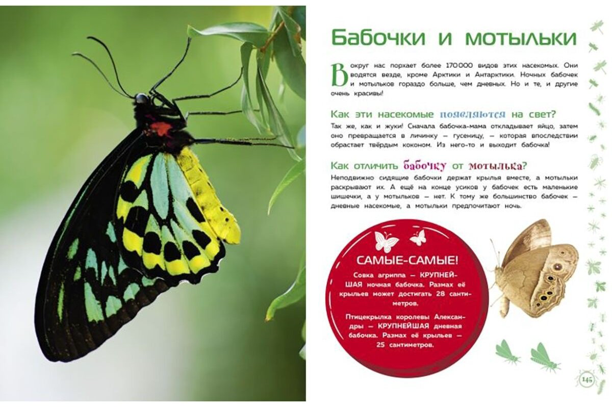 Книга Животные. Большая детская энциклопедия купить,NaN