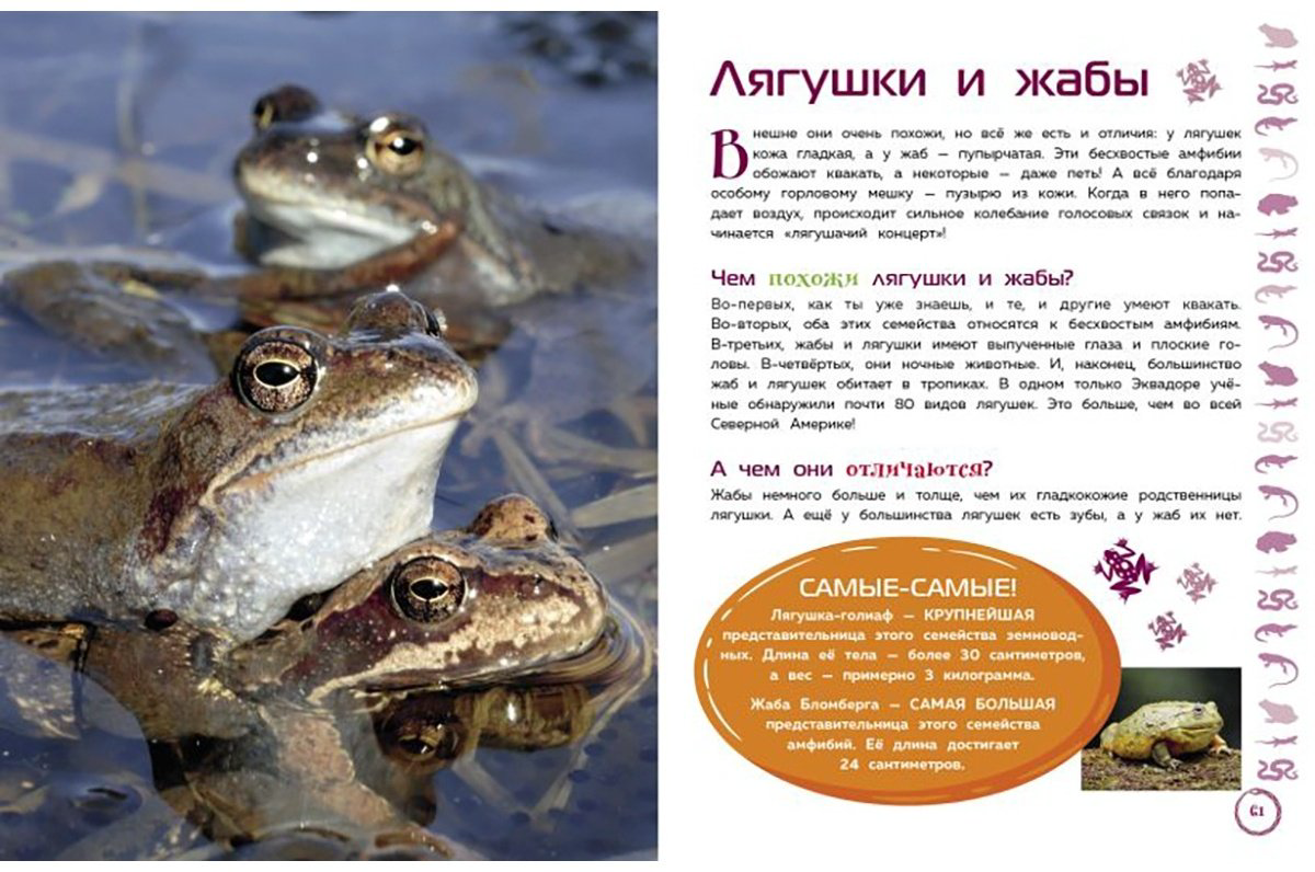 Книга Животные. Большая детская энциклопедия купить,NaN