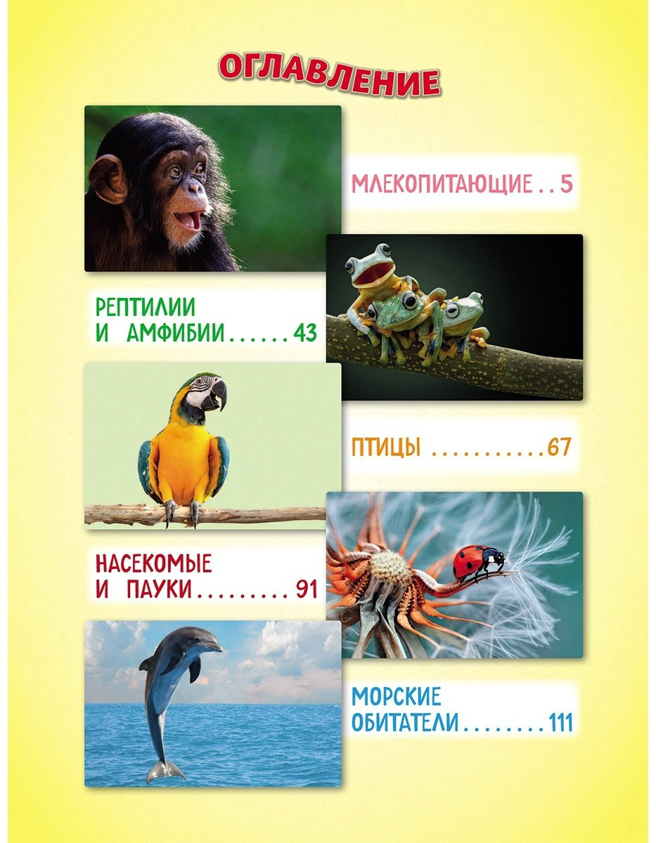 Книга Без автора: Самые милые животные.&nbsp;Большая энциклопедия для маленьких купить,NaN