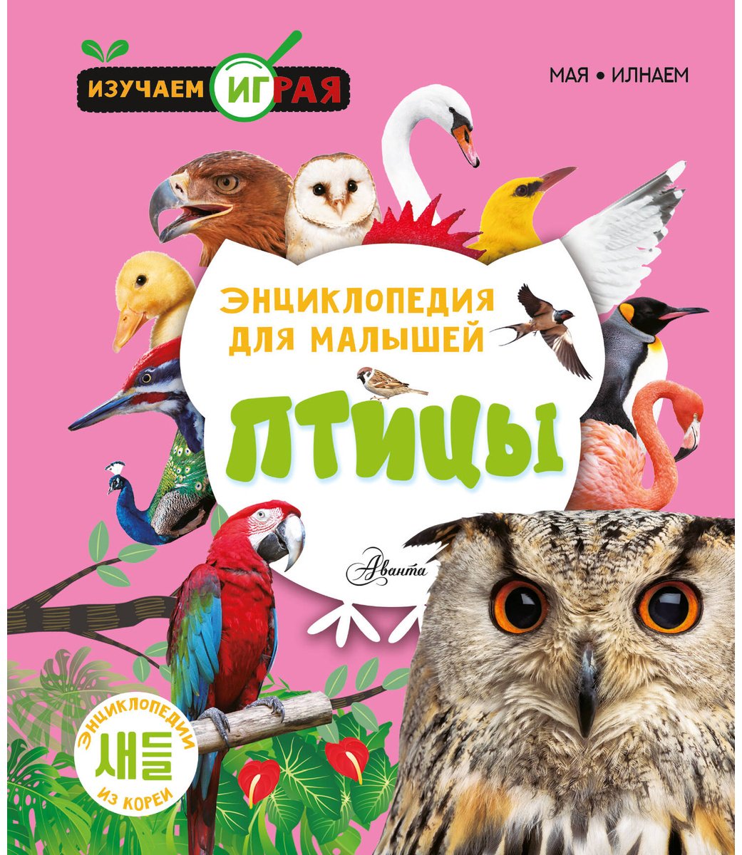 Книга Мая: Птицы купить,NaN