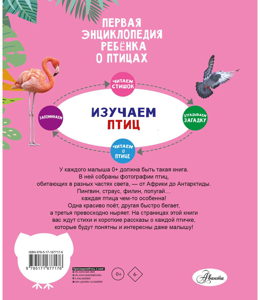 Книга Мая: Птицы купить,NaN