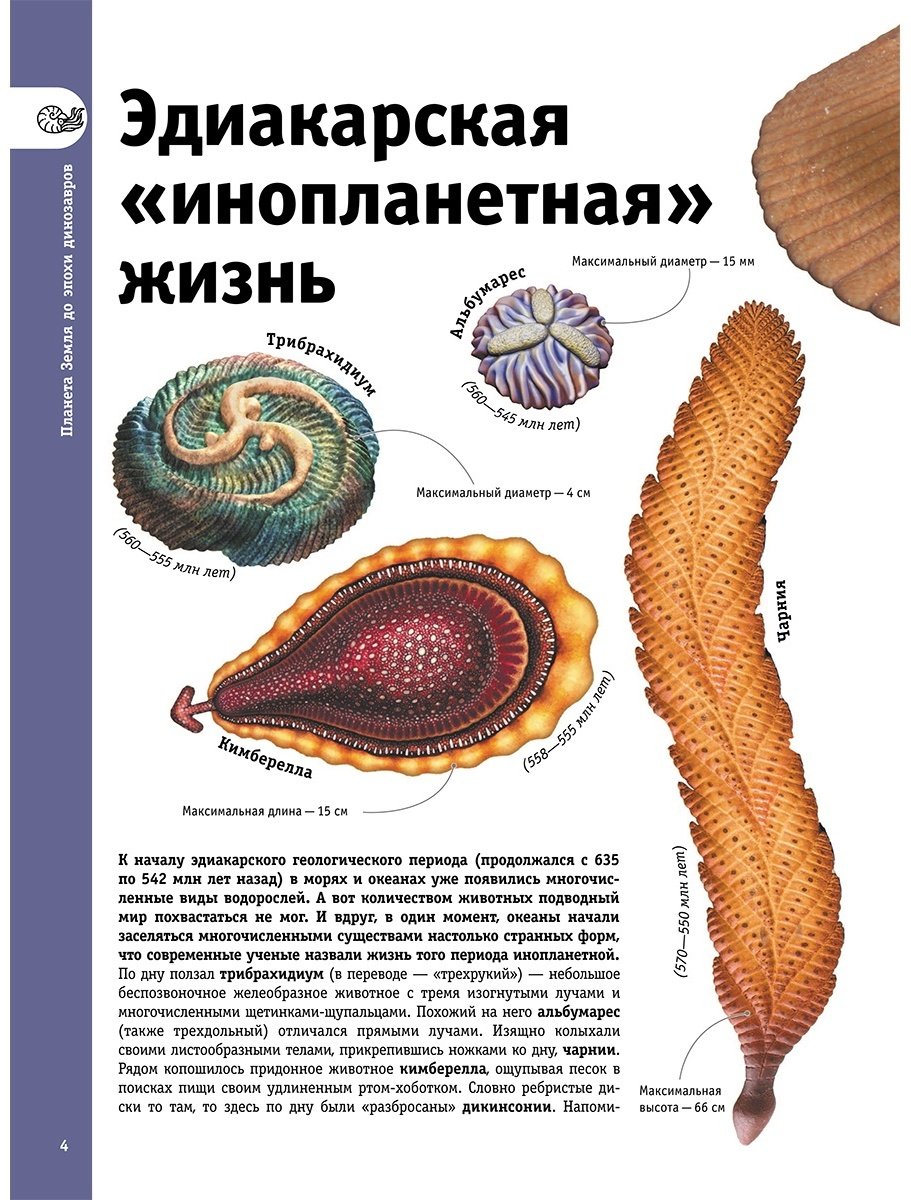 Книга Ликсо В. В.: Динозавры купить,NaN