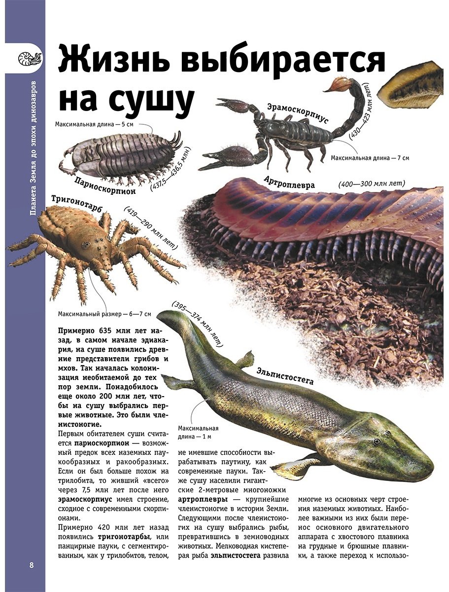Книга Ликсо В. В.: Динозавры купить,NaN