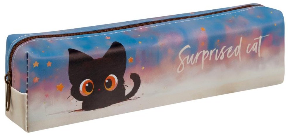 Пенал MESHU Surprised Cat MS_65241, застежка молния, мультиколор