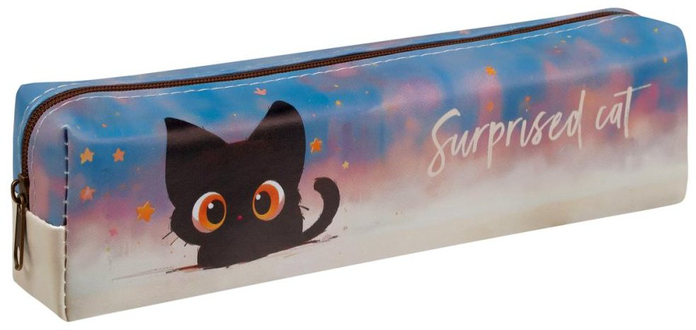 Пенал MESHU Surprised Cat MS_65241, застежка молния, мультиколор купить,NaN
