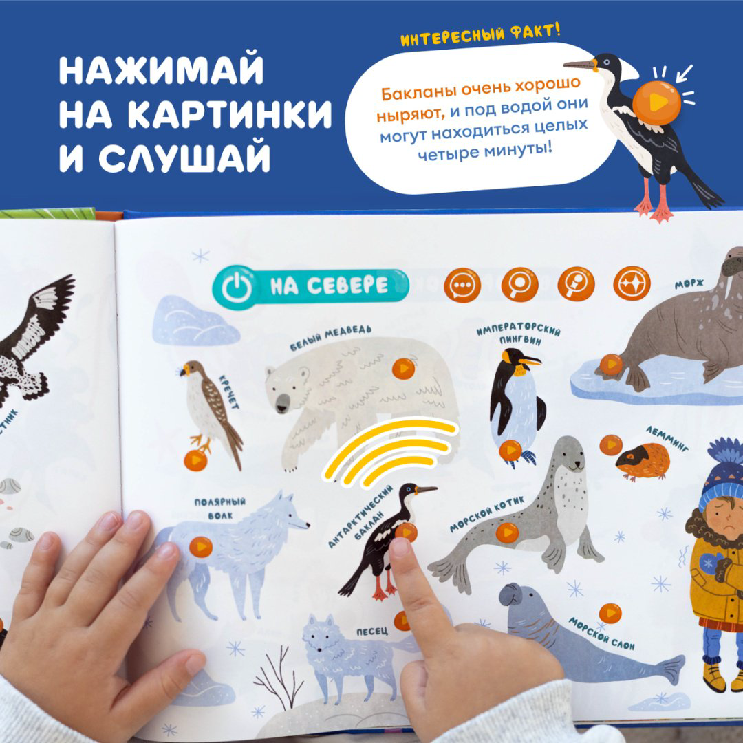 Интерактивная игрушка Alilo Abumba Fingerbook «Какие бывают животные» купить,NaN