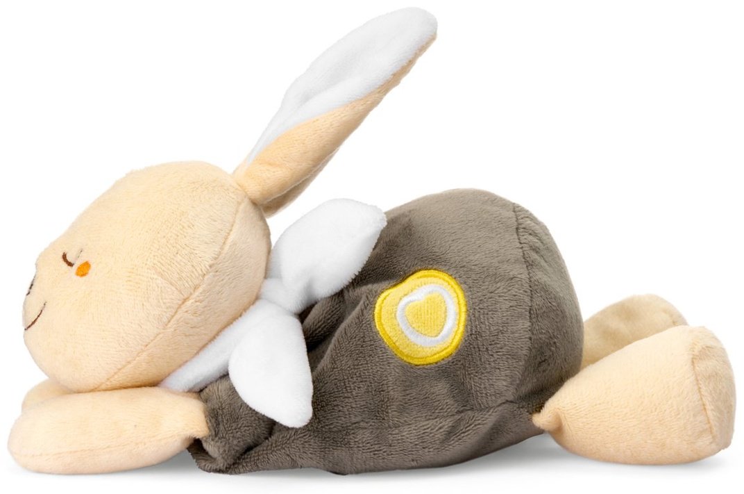 Игрушка-мялка Chicco Тёплый зайка - ForteMarket Игрушка-мялка Chicco Тёплый зайка купить,0