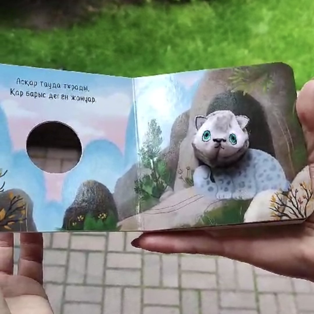Книжка-игрушка Umai Books Қар барысы купить,0