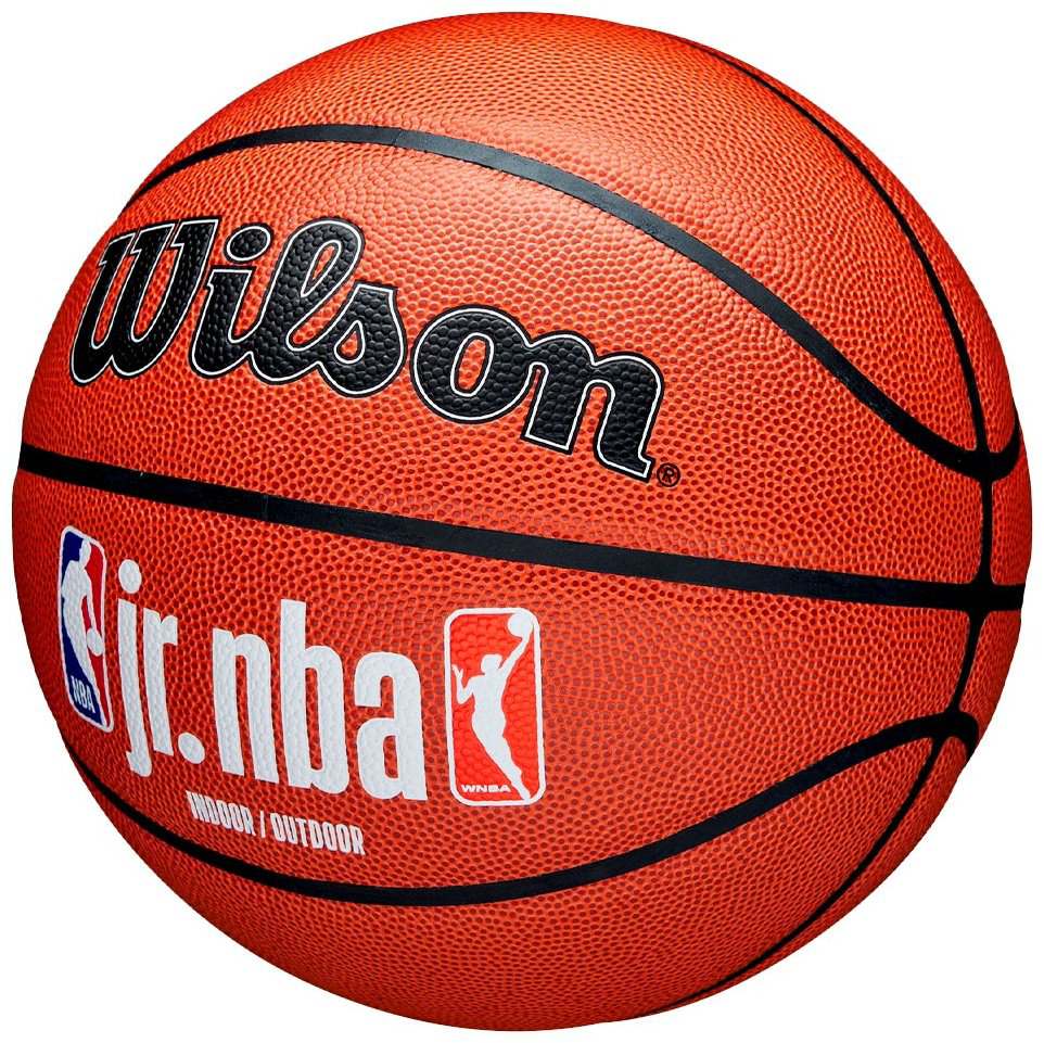 Мяч Wilson WZ2009801XB7, NBA JR FAM Logo для баскетбола размер 7 купить,18900