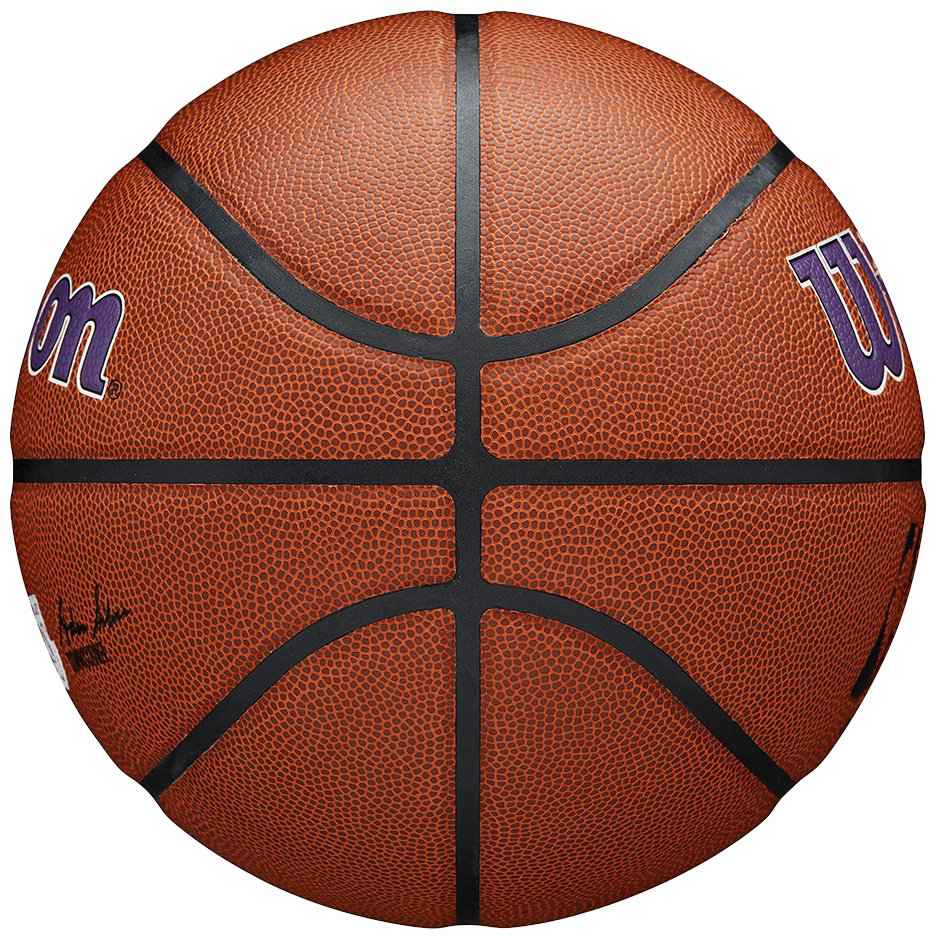 Мяч Wilson NBA TEAM ALLIANCE LA LAKERS WTB3100XBLAL для баскетбола размер 7 купить,NaN