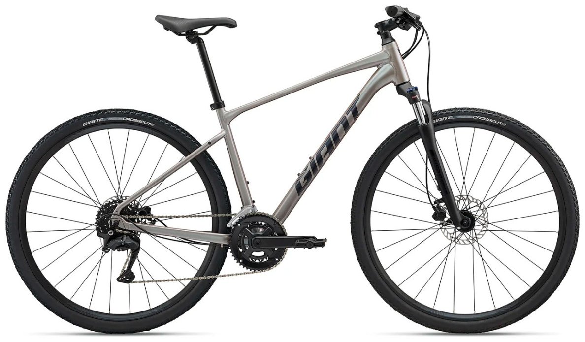 Велосипед Giant Roam 3 - 2025/10820112/L 2025 21 дюйм бежевый