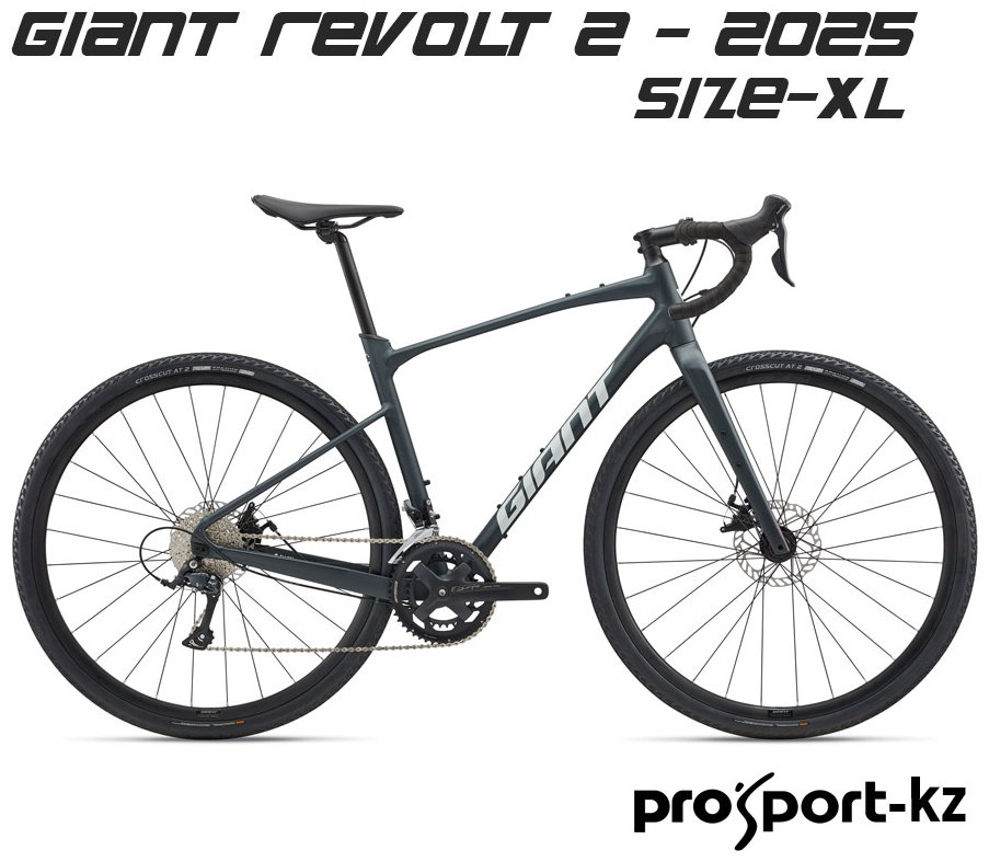 Велосипед Giant Revolt 2 - 2025/10790121/XL (700)-28, asphalt green 2025 22 дюйма зеленый купить,NaN