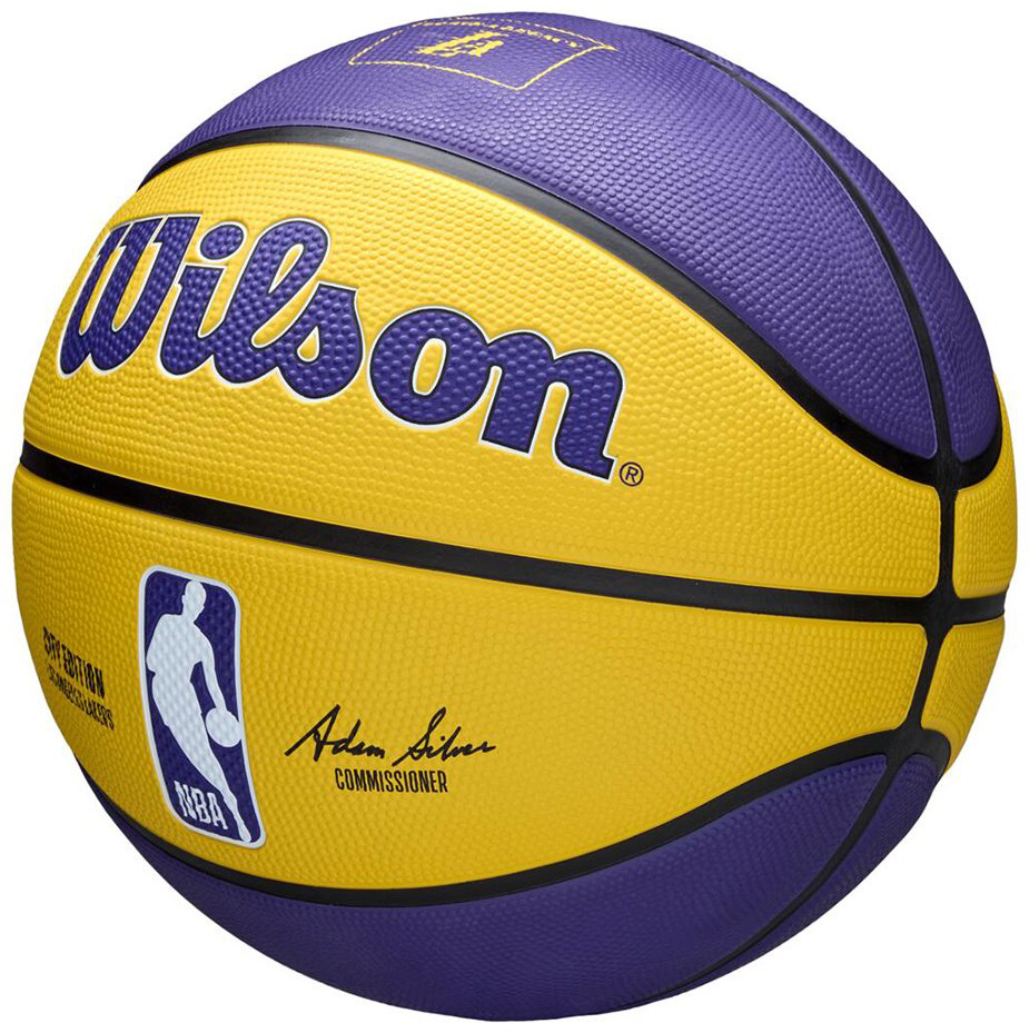 Мяч Wilson WZ4033914XB7 для баскетбола размер 7 купить,NaN