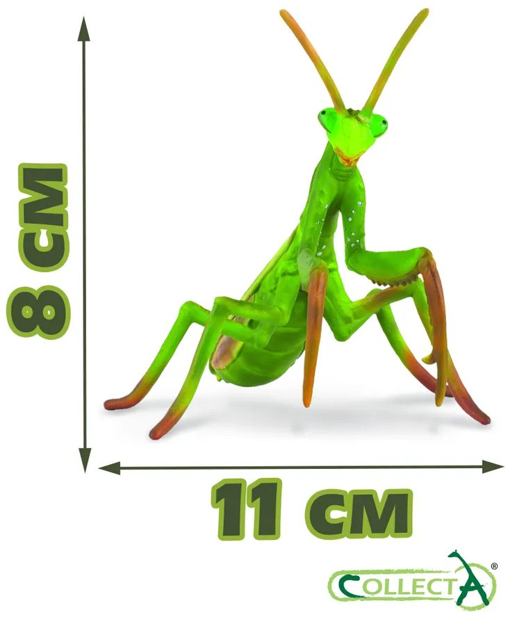 Фигурка Collecta Жук, паук, саранча 3 см 3 шт купить,NaN