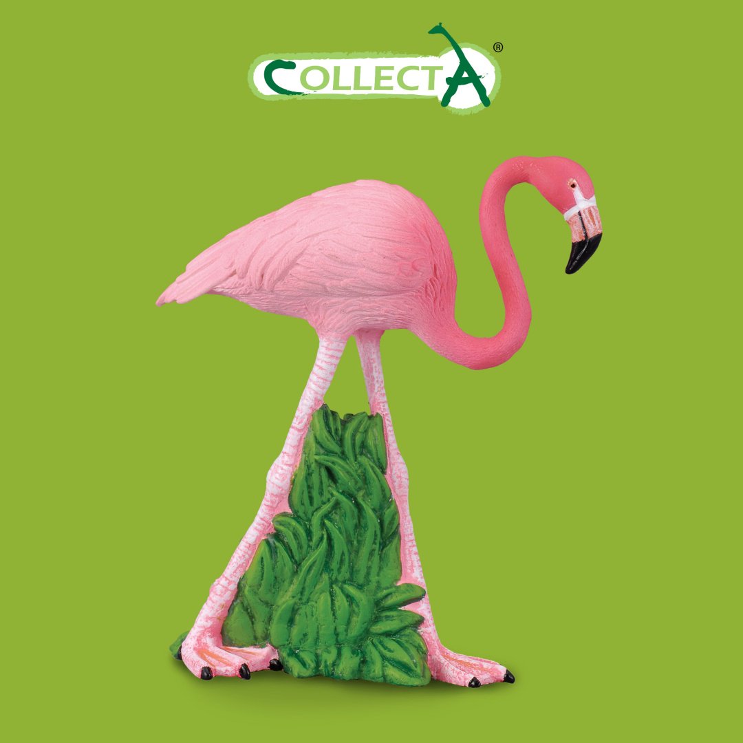 Фигурка Collecta Фламинго 8.5 см 1 шт
