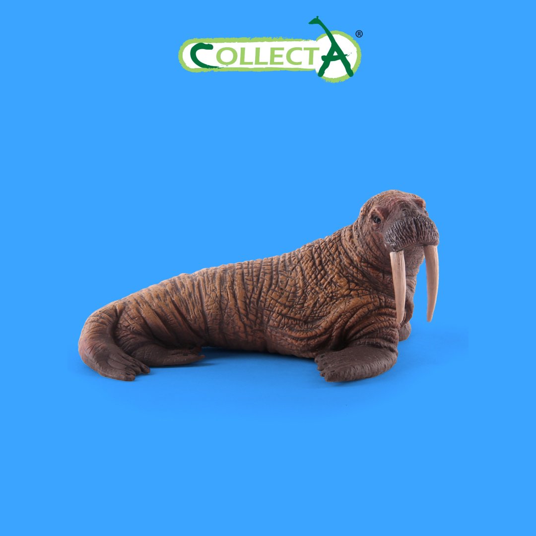 Фигурка Collecta Морж 6 см 1 шт