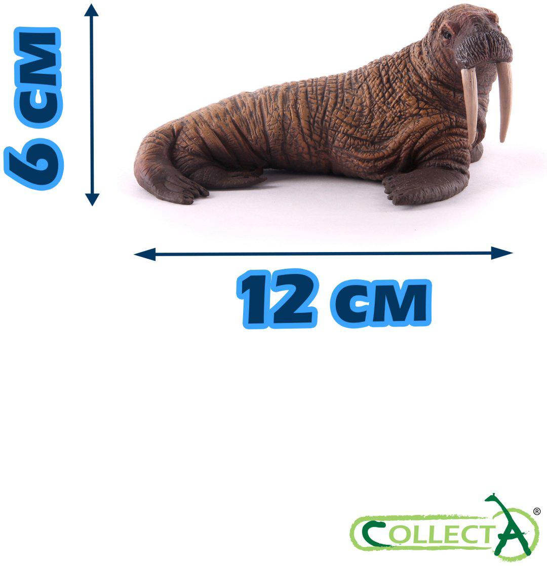 Фигурка Collecta Морж 6 см 1 шт купить,NaN