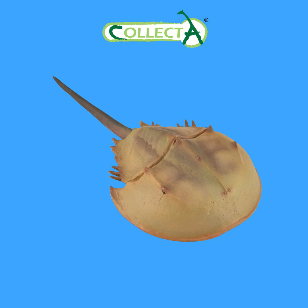 Фигурка Collecta Мечехвост 7.7 см 1 шт