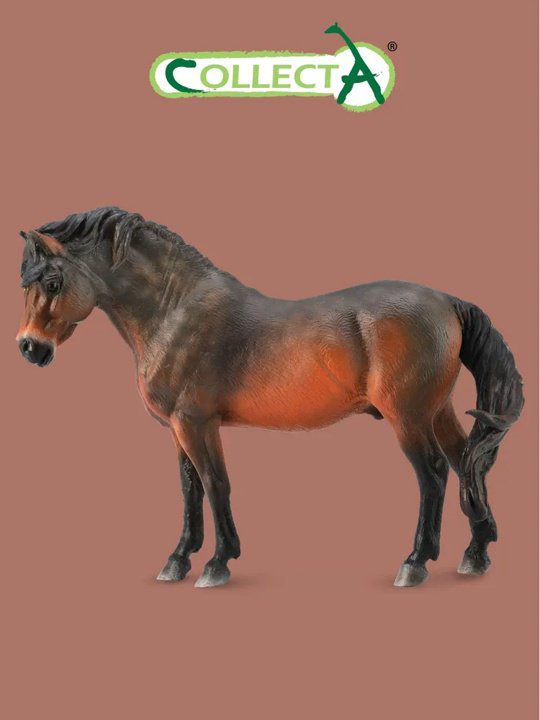 Фигурка Collecta Дартмурский Пони 8.1 см 1 шт купить,NaN