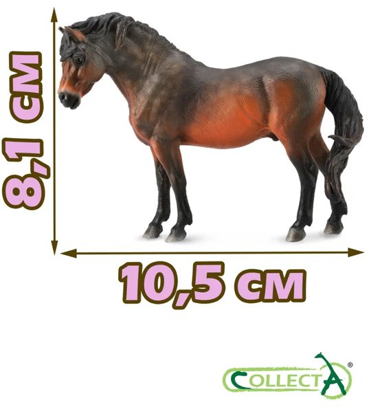 Фигурка Collecta Дартмурский Пони 8.1 см 1 шт