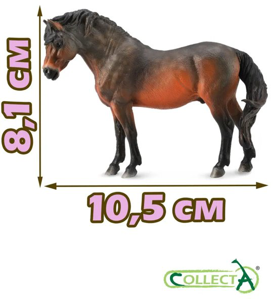 Фигурка Collecta Дартмурский Пони 8.1 см 1 шт купить,NaN