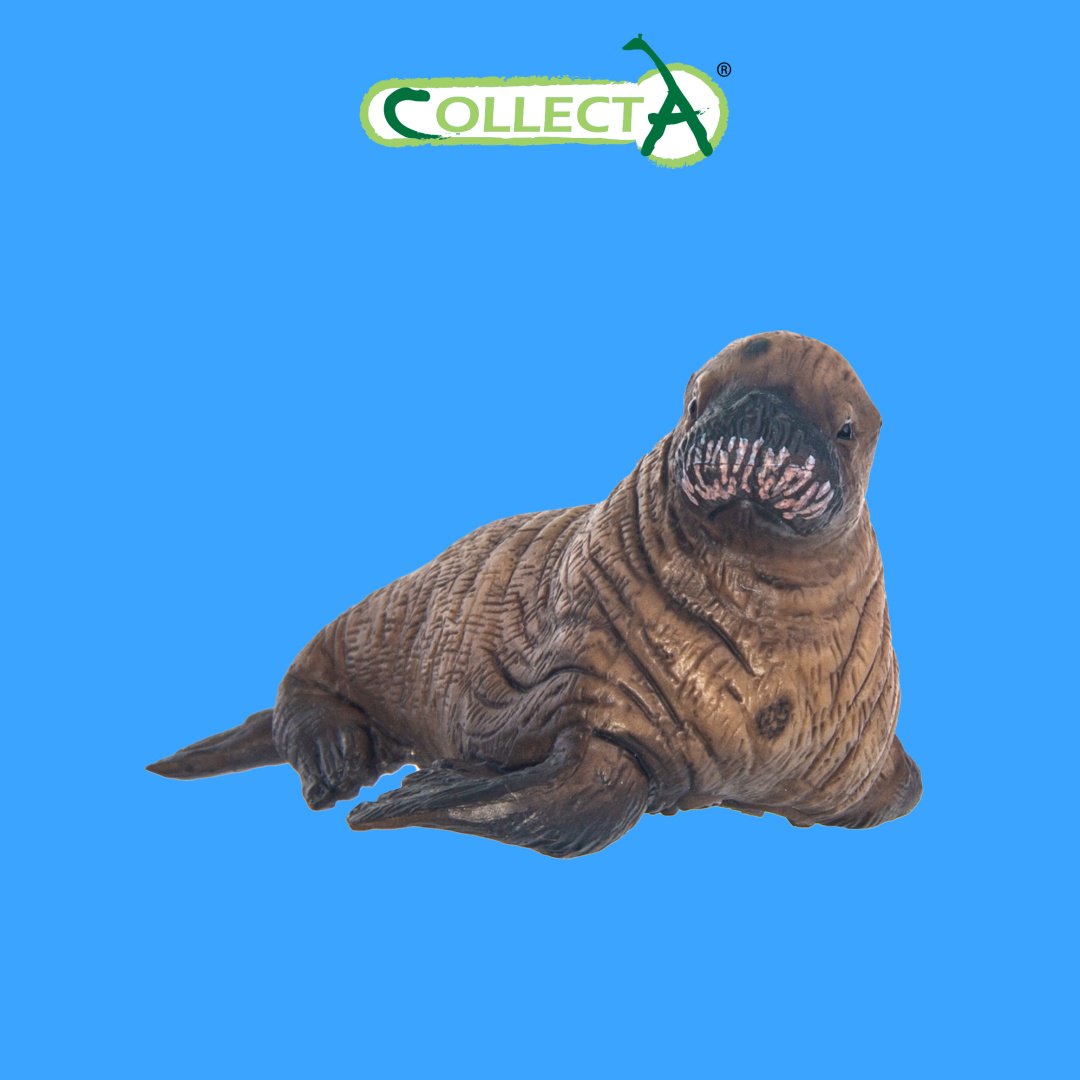 Фигурка Collecta Детёныш моржа 3.5 см 1 шт