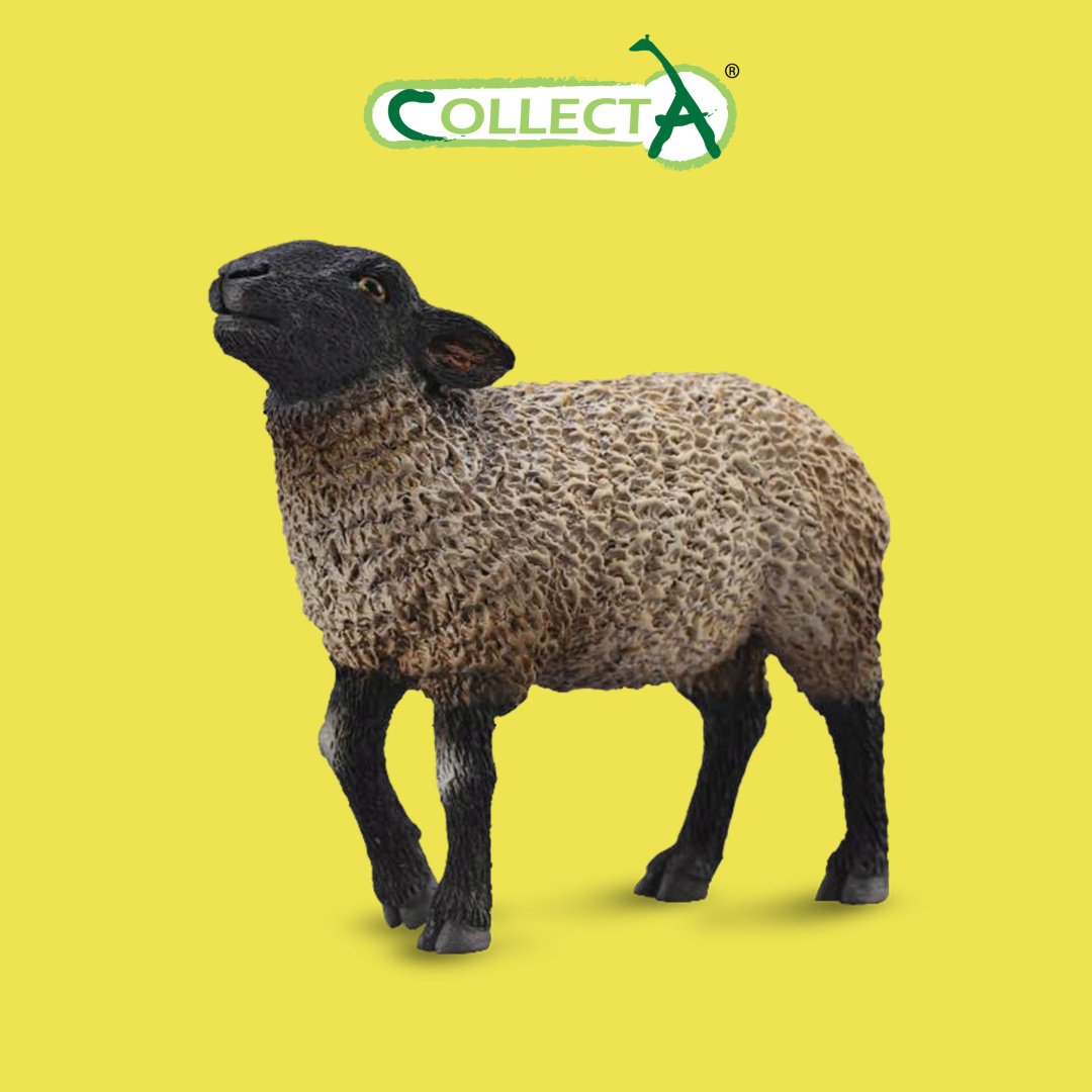 Фигурка Collecta Овца Суффолк 6.3 см 1 шт